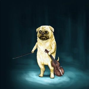 Meet your Posher, Lucas